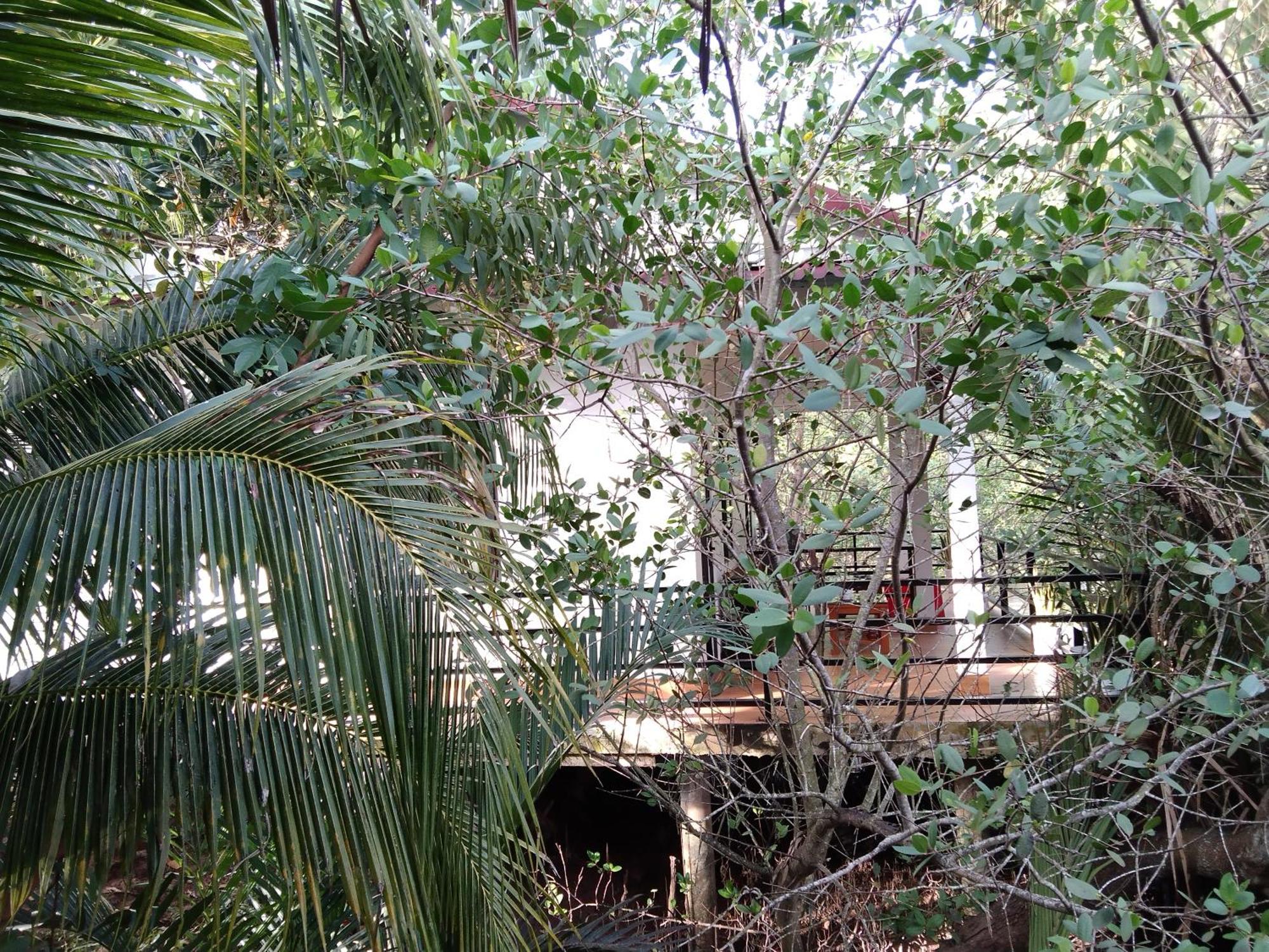 Quoc Phuong Riverside Homestay Ben Tre Exteriör bild